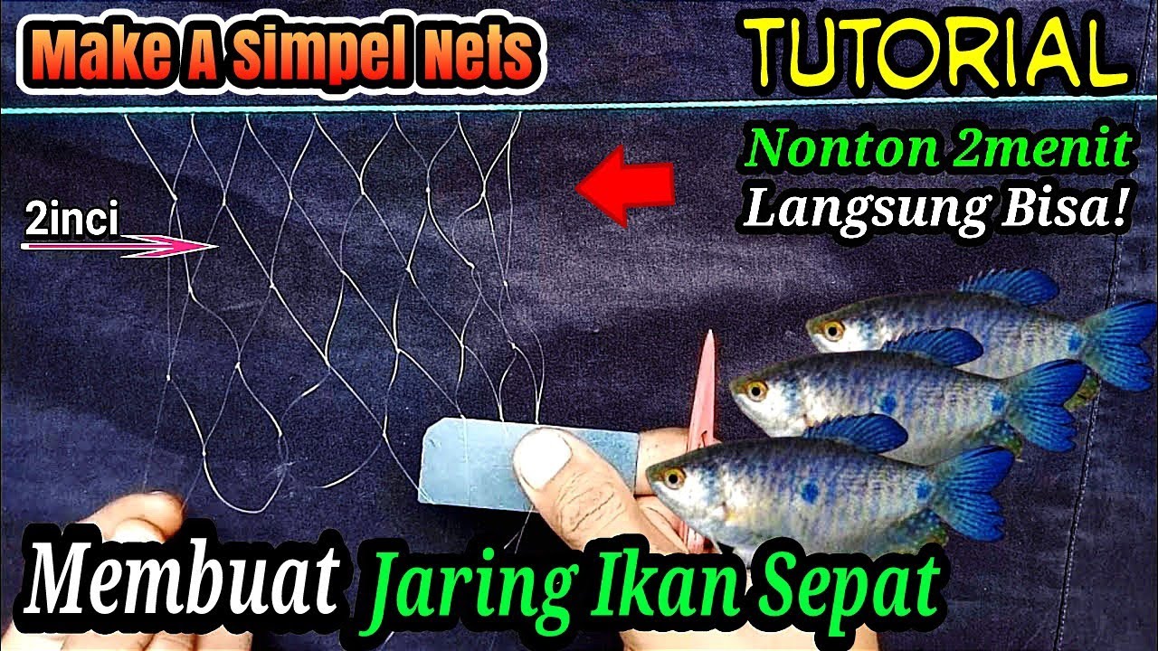 Cara Membuat Jaring Ikan Sepat Dari Senar Pancing