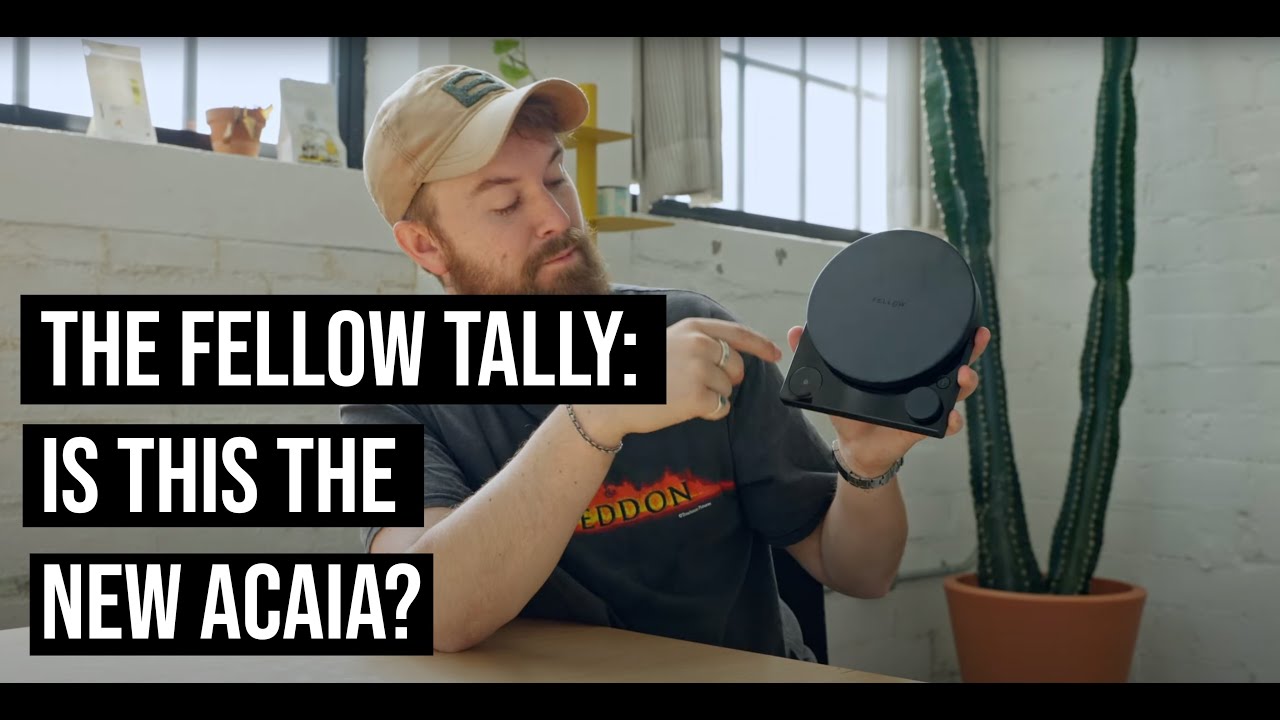 The Fellow Tally: Is This The New Acaia?
