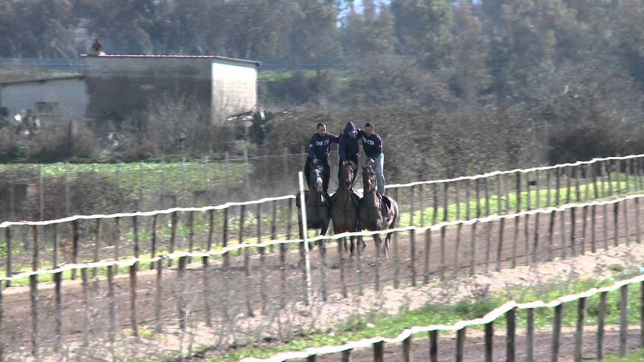 Sartiglia - Le Selezioni