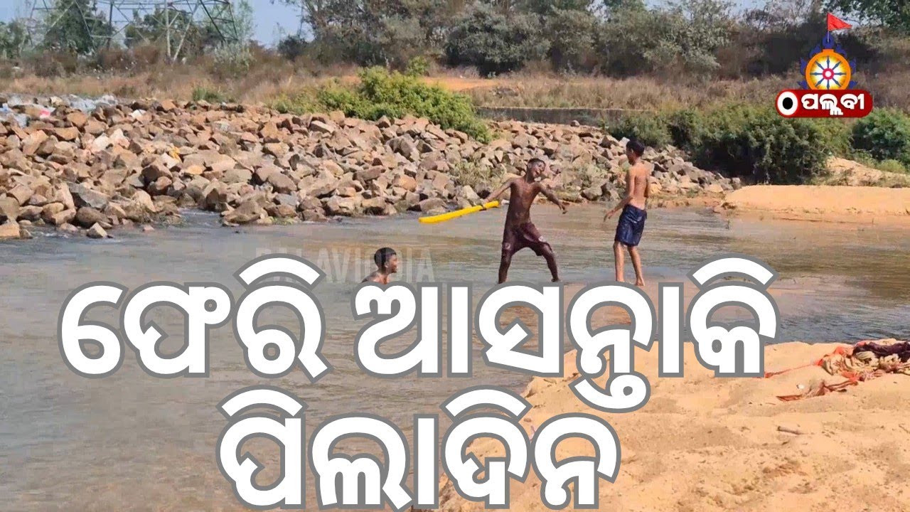 ମନେ ପଡ଼େ ସେଇ ପିଲା ଦିନର କଥା ll OLD MEMORIES ll PALAVIODIA