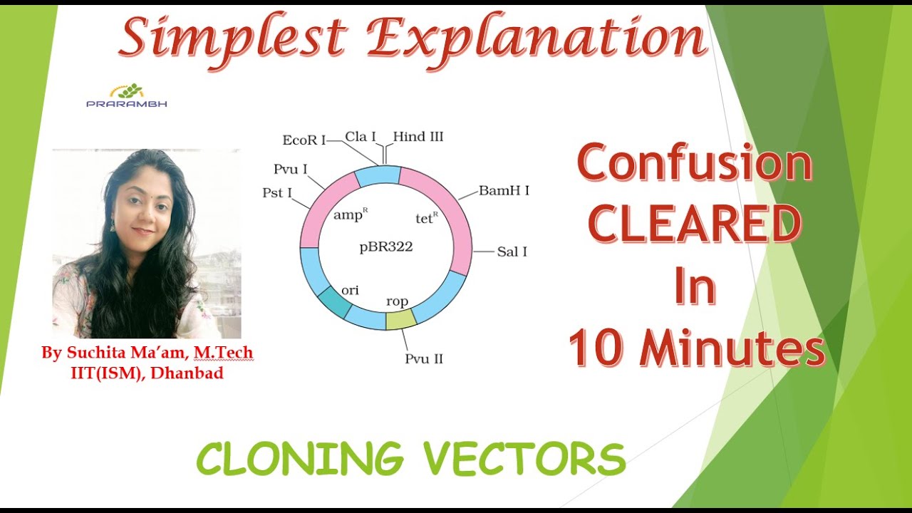 Cloning Vectors, Transformants and Recombinants