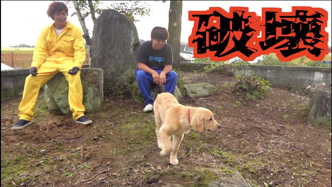 #1 愛犬の為に庭を破壊する!!