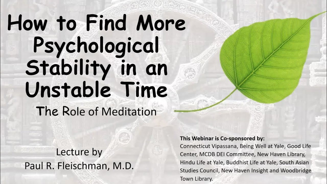 How to Find More Psychological Stability in an Unstable Time: The Role of Meditation by Paul R. ...