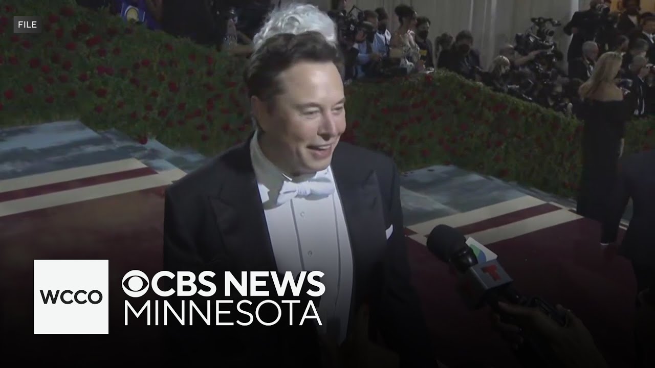 Why is Elon Musk fighting an AI nudification ban?