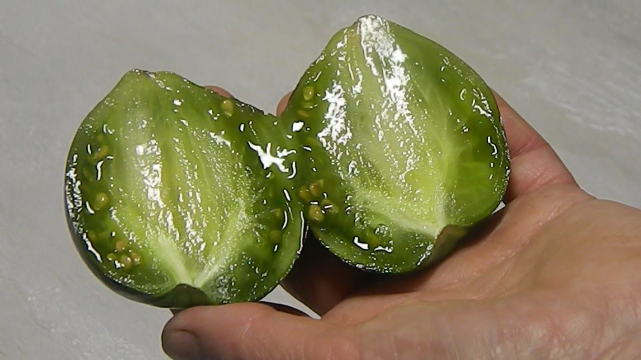 Томат Rebel Starfighter -VT16. Тест зрелых плодов.