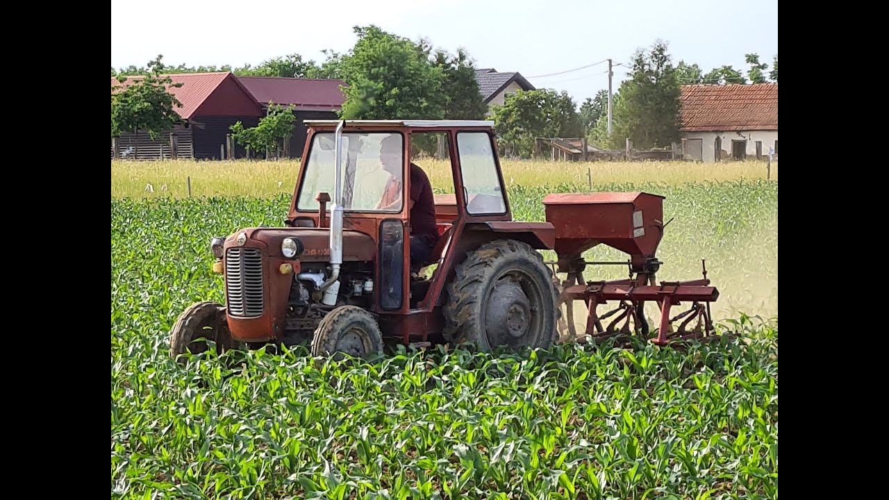 🌽🚜🤠 KULTIVACIJA KUKURUZA /22 🤠🚜🌽