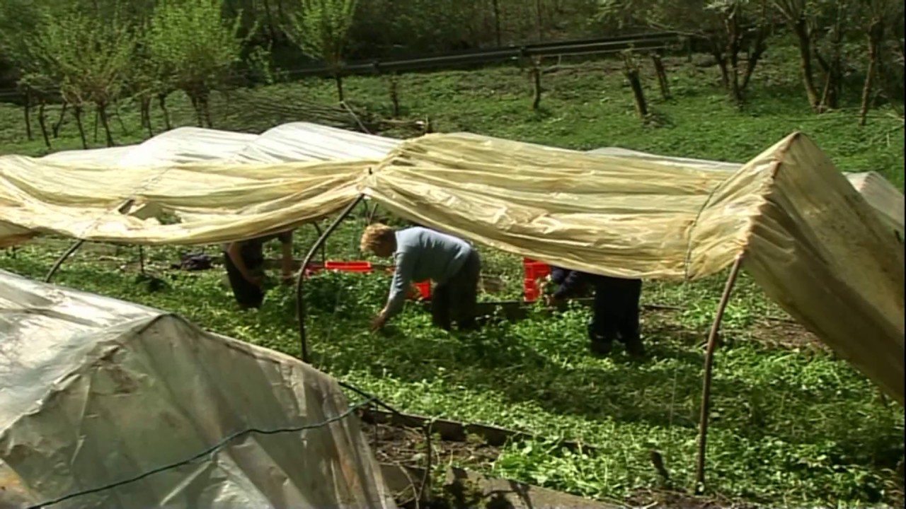 MAREDRET ,  La culture du cresson