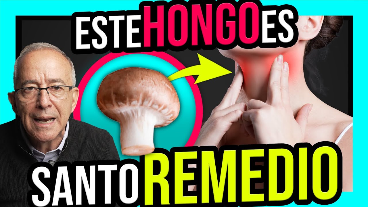 🍄 BENEFICIOS DEL CHAMPI&Ntilde;ON Es Alimento Y Medicina, HONGOS MAGICOS - Oswaldo Restrepo RSC