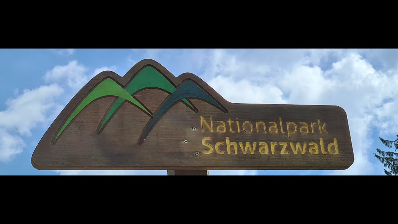Zwarte Woud met Stelvio Motorreizen 2023