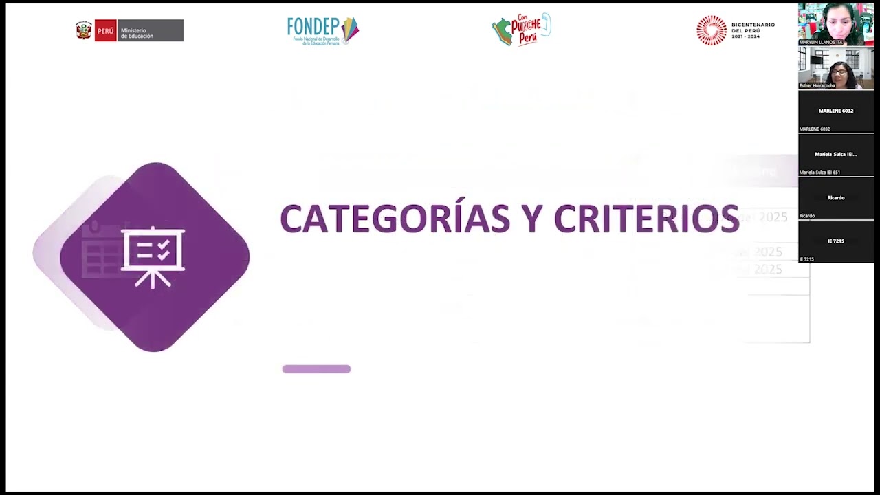 Formulación de Proyectos de Innovación Educativa e investigación 2025