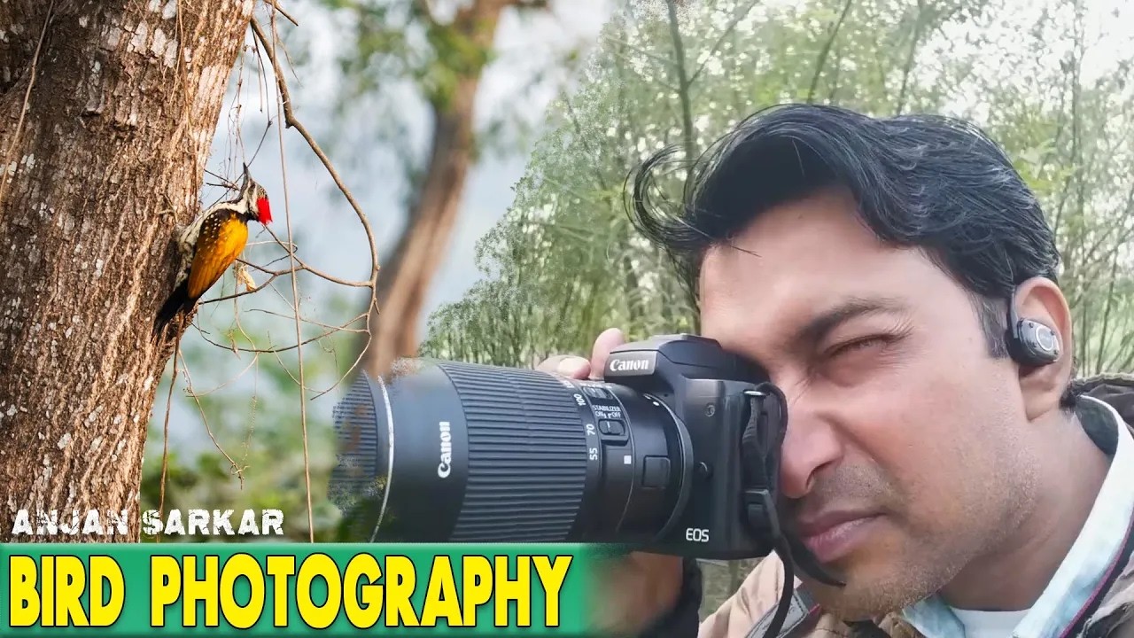 Capturing Winged Wonders: Bird Photo Secrets | The Art of the Bird Portrait #vlog #love #photoshoot