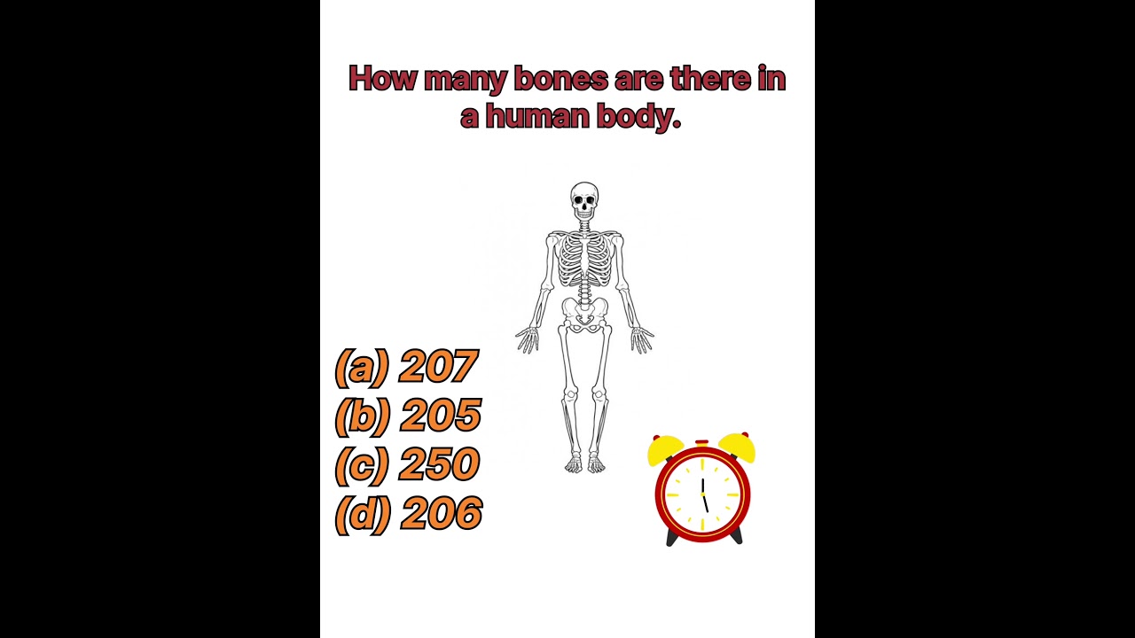 How many bones are there in a human body. #shortvideo #viral #generalknowledge #quiz