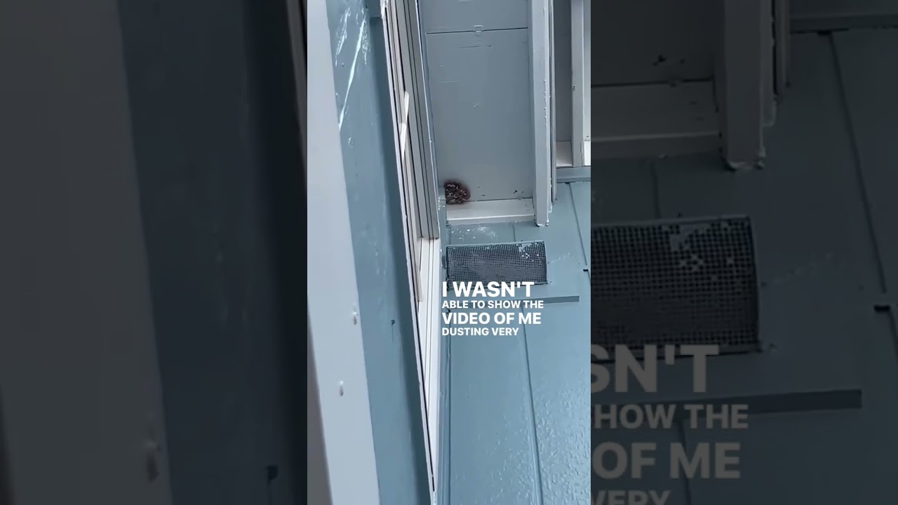 How a Pest Technician does a  Wasp Dust Treatment