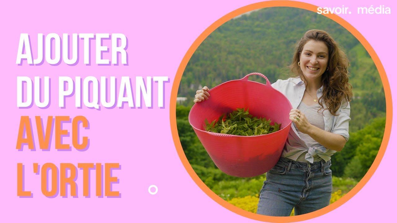 Ajouter du piquant avec l'ortie - Puissance au menu - Extrait