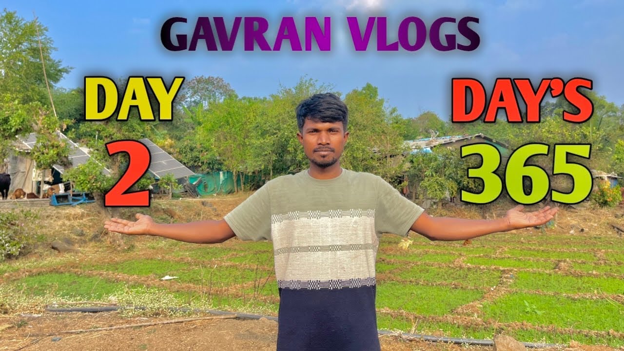 आज आमच्या शेतात फिरू EXPLORE THE FARM DAY 2/ To 365 DAYS #explore #gavran #gavranvlogs #dailyvlog 