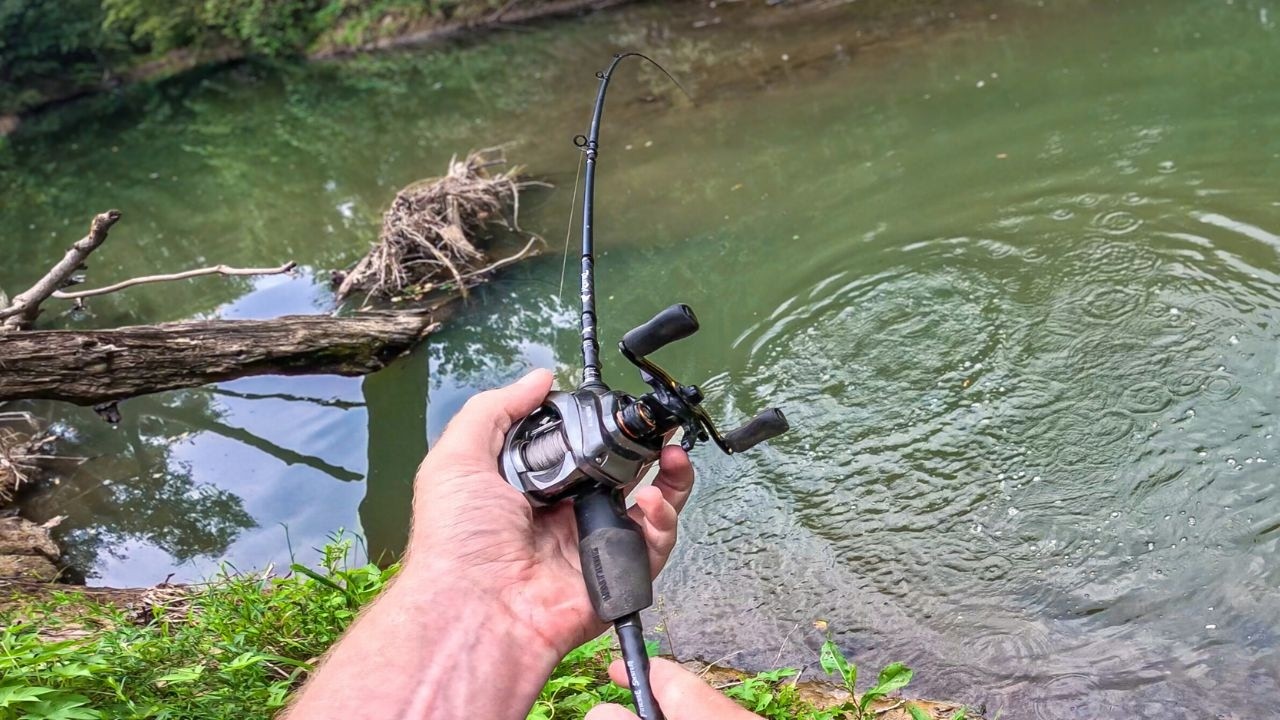 This Tiny Creek Was Full of Surprises! (BFS Fishing)