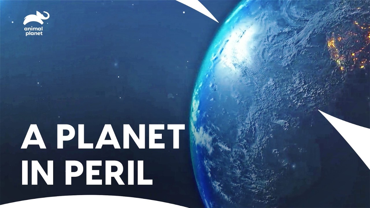 India's Climate Crisis Begins Here | Zeenat Aman | Embers of Hope: The Fight For Our Future Ep 1