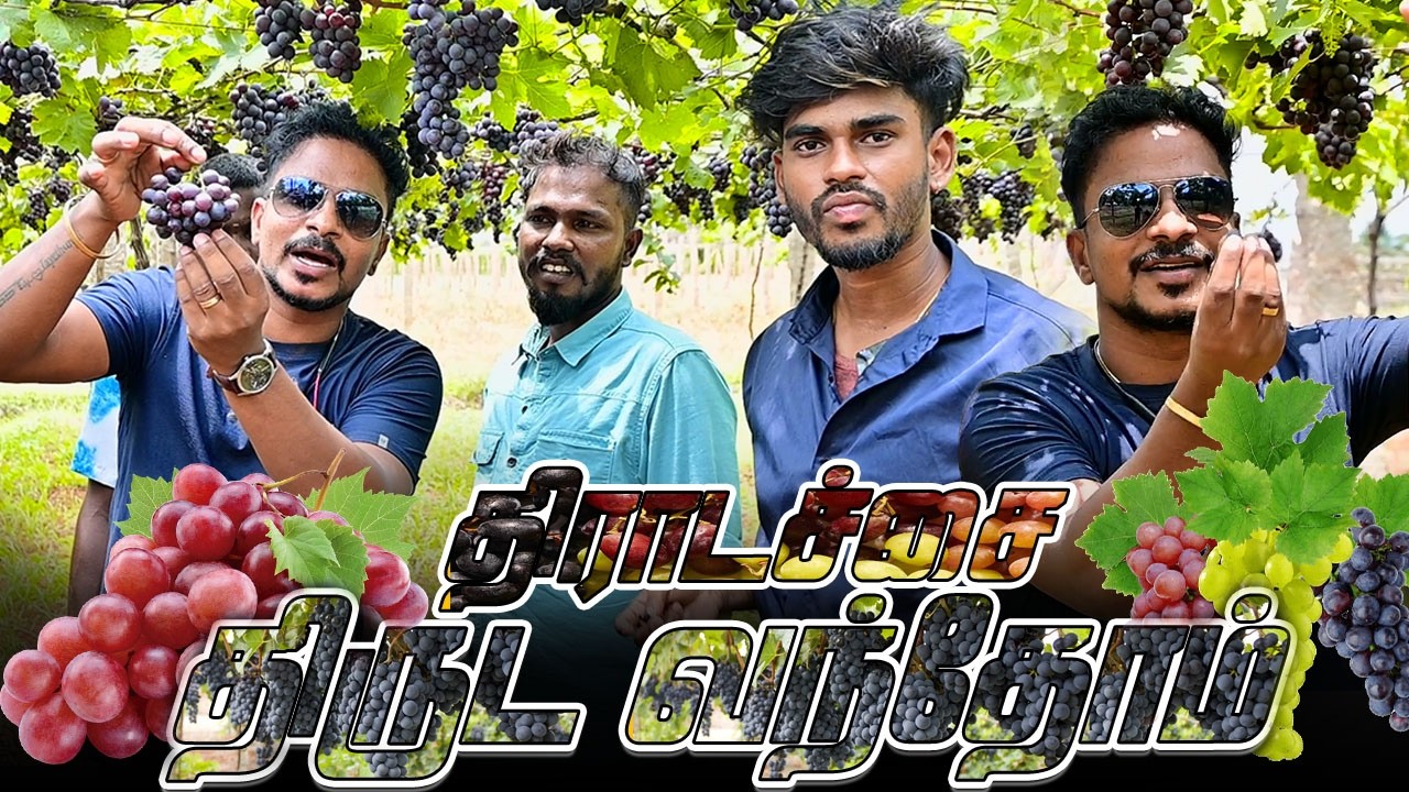 ТИРАДАЧАИ | КОМЕДИЙНОЕ ВИДЕО САРАТХА САРМЕША | NAGAI 360* TV