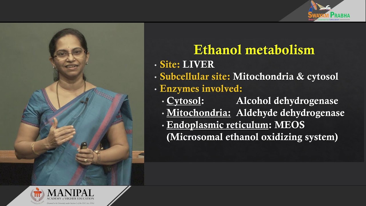 3.7 Alcohol metabolism