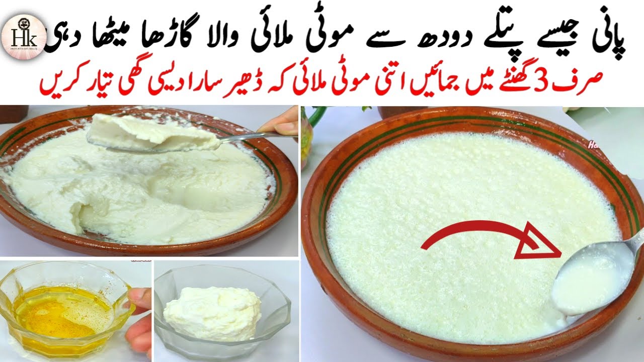 Low Budget Yogurt Recipe | Patly Doodh Se Gardha Jamayain Bazar Jaisa Dahi Recipe | Yogurt Recipe