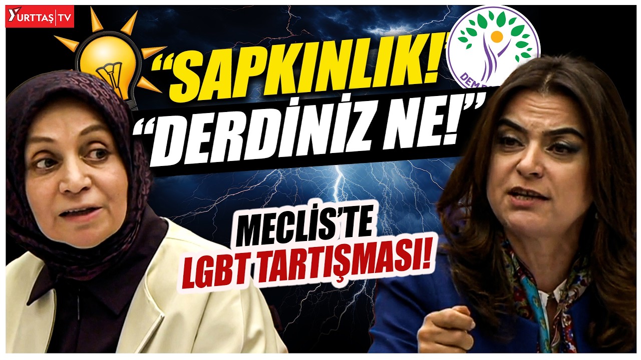 DEM Partili Gülistan Kılıç Koçyiğit AKP'li vekile isyan etti! 