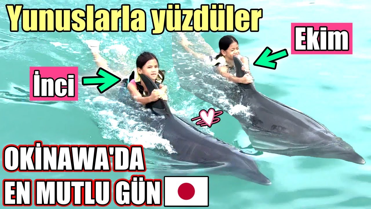 Okinawa'da EN MUTLU GÜN😍 Bu Anları Hiç UNUTAMAYACAKLAR 🐬