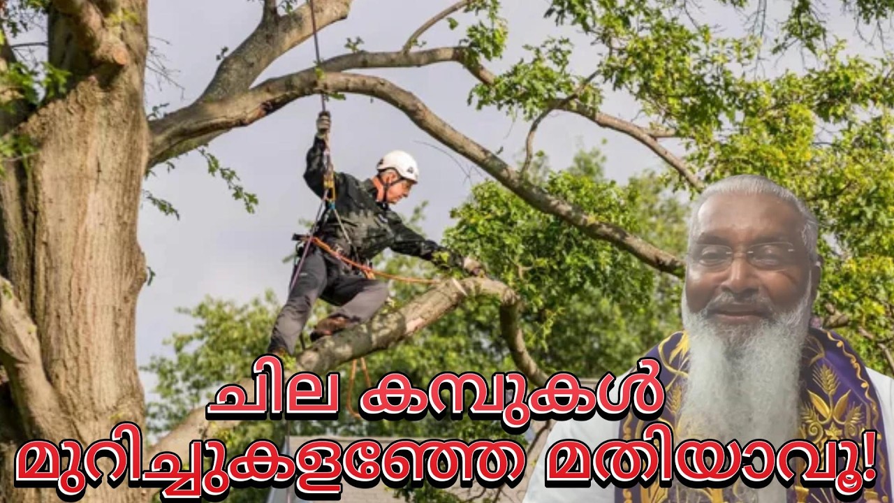 ചില കമ്പുകൾ മുറിച്ചുകളഞ്ഞേ മതിയാവൂ! - ഫാ. ജെയിംസ് മഞ്ഞാക്കൽ