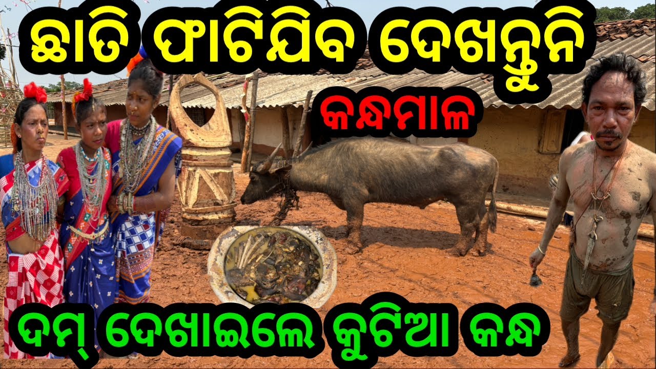ଏଇଟା ଭୂଲ୍ କାହିଁକି❗କୋଟିଆ କନ୍ଧଙ୍କ ରାଜା❗#triballife #charigarhvlogs #travelfoodvlog #kandhamal #odisha