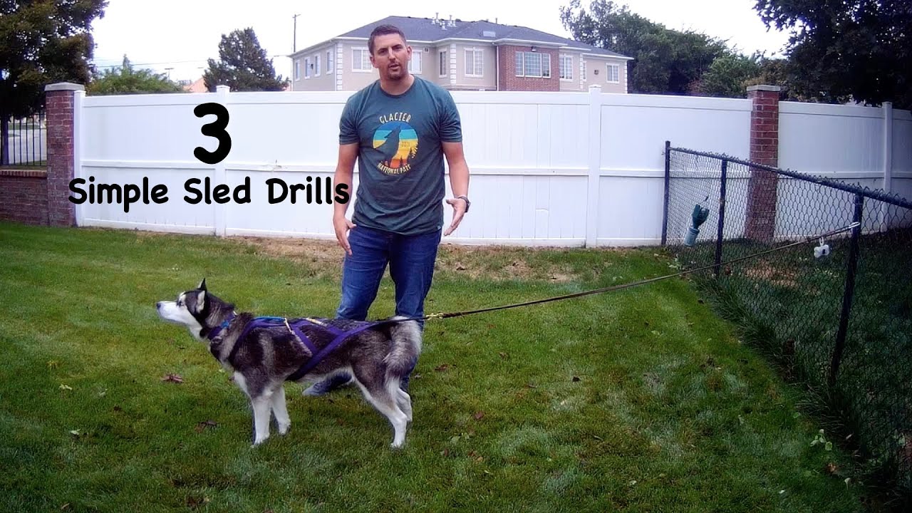 Bikejoring/Sledding Training : 3 Drills to Prepare for the Season