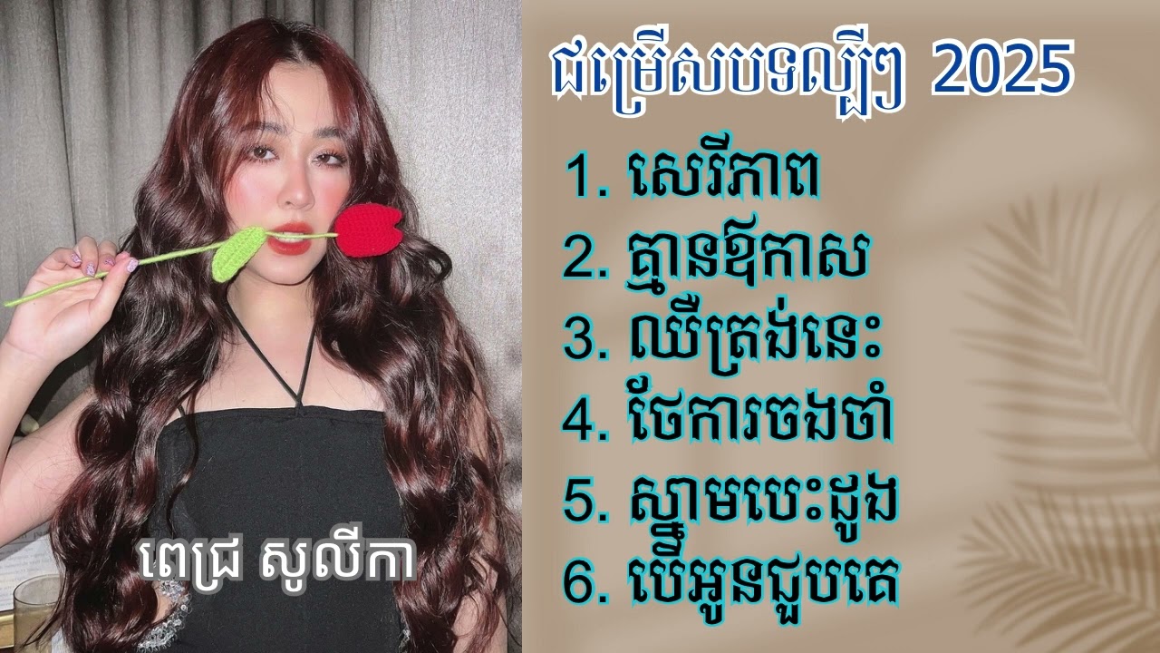 ជម្រើសបទល្បីៗ ២០២៥ Pich Solikah-ពេជ្រ សូលីកា | TopMusic SpeedUp