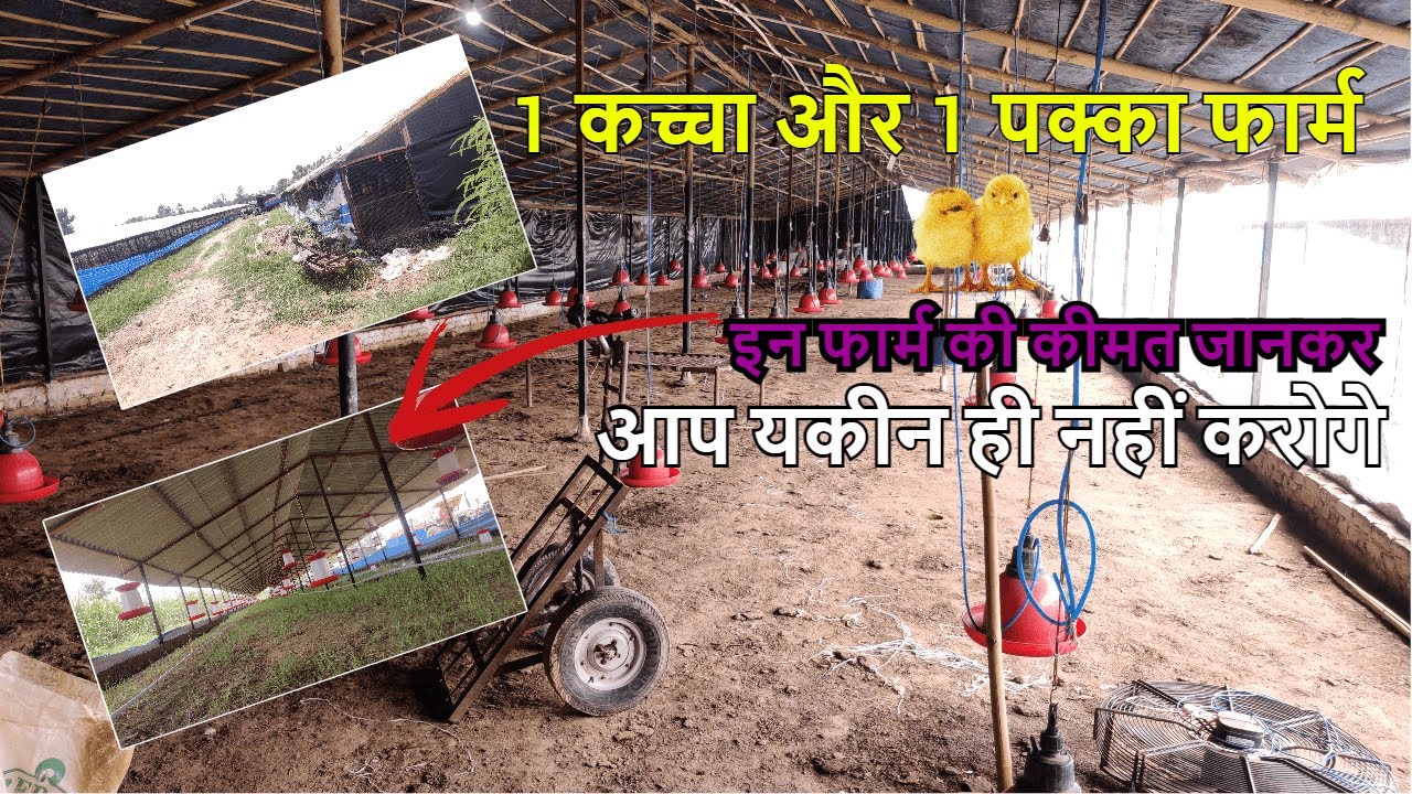 पहली बार ऐसा फार्म देखा है। काफी मजबूत और सुन्दर फार्म #poultrykishaan