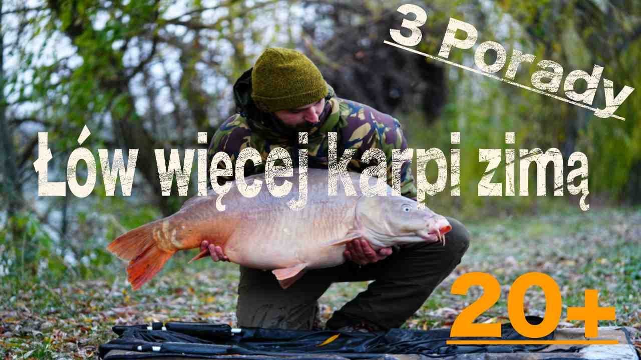 Łów więcej karpi zimą 3 Porady