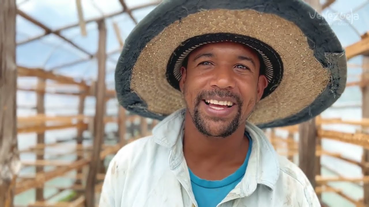 Conoce el café venezolano Ávila Blu