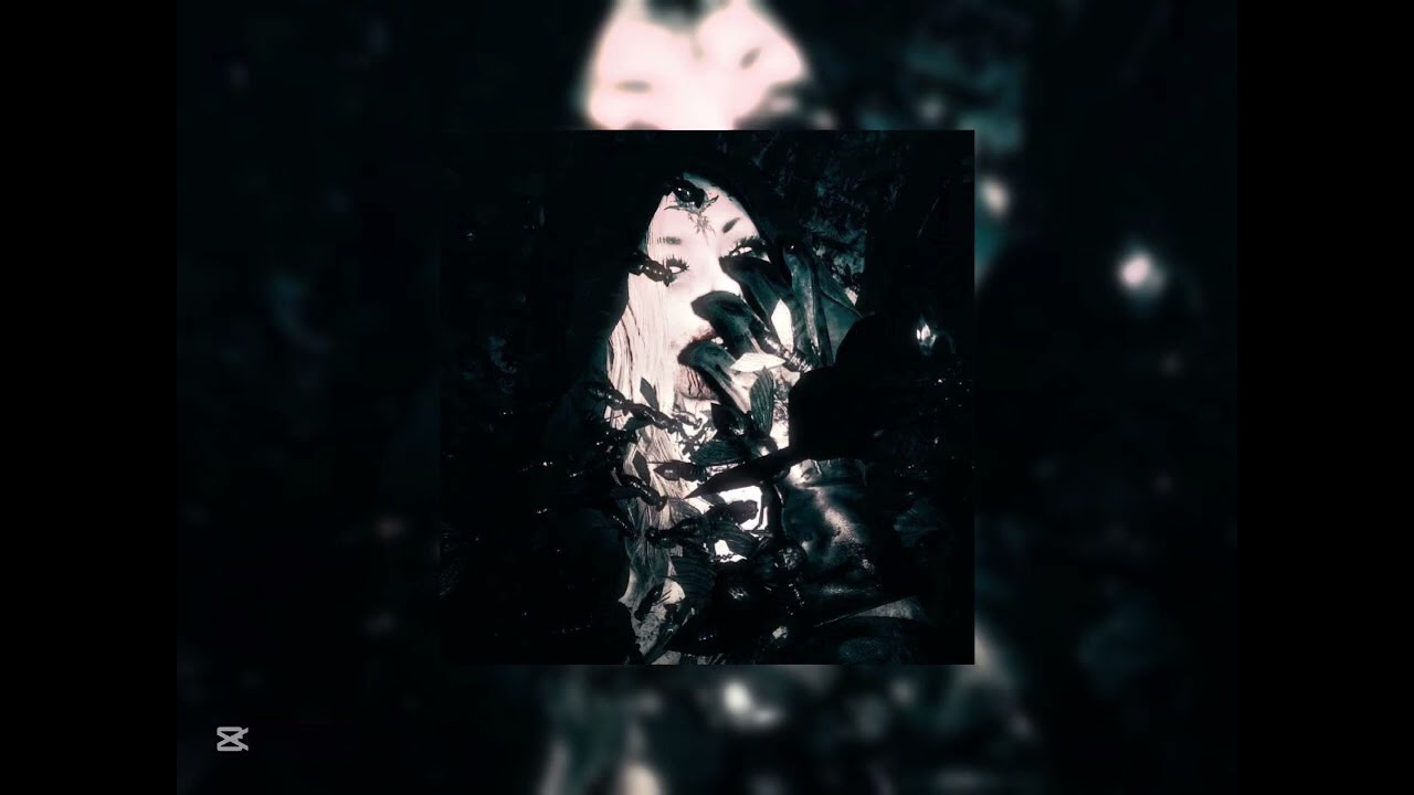 𝐏𝐚𝐫𝐚𝐧𝐨𝐢𝐚 - 𝒱𝒶𝓁𝓍！（𝖲𝗉𝖾𝖽 𝖴𝗉）