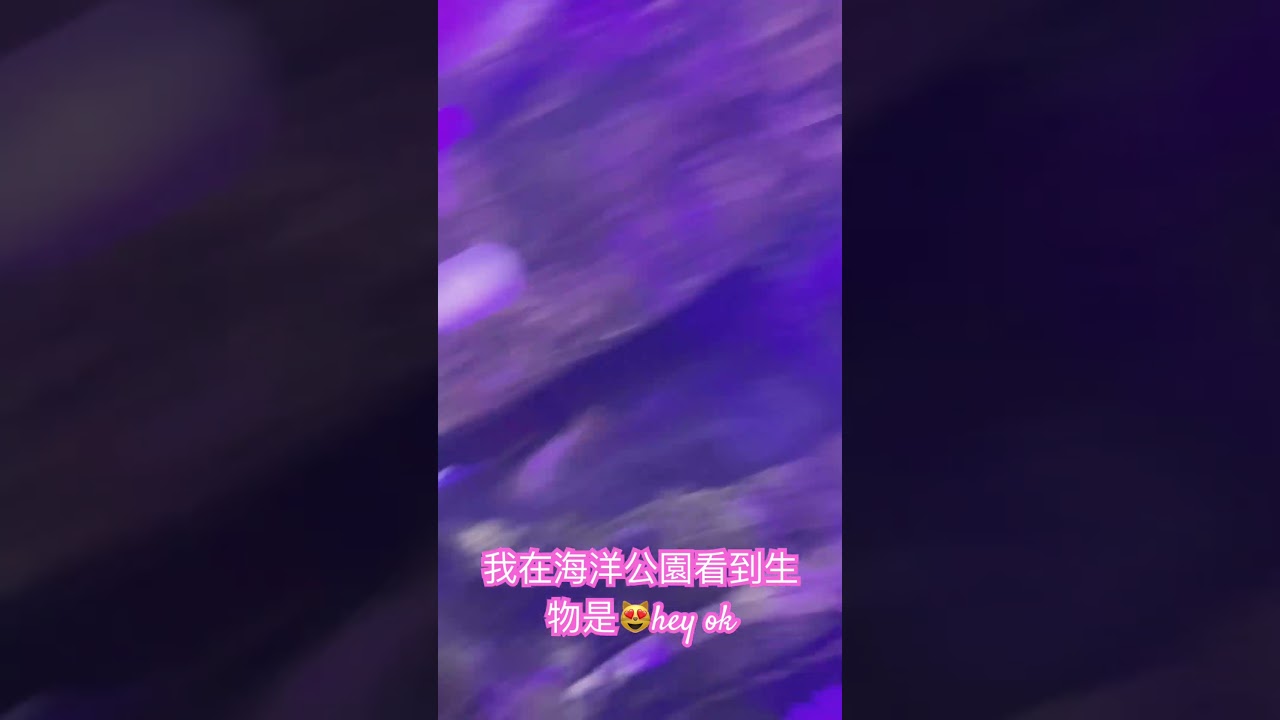 #海洋公園 vs#heyheyok 💙💙💙💙#盧瀚霆 /#mirrorweare \#mirrorhk