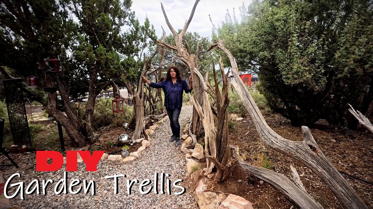 Upcycling Dreams! My Cattle Panel Archway Trellis Makeover With Driftwood