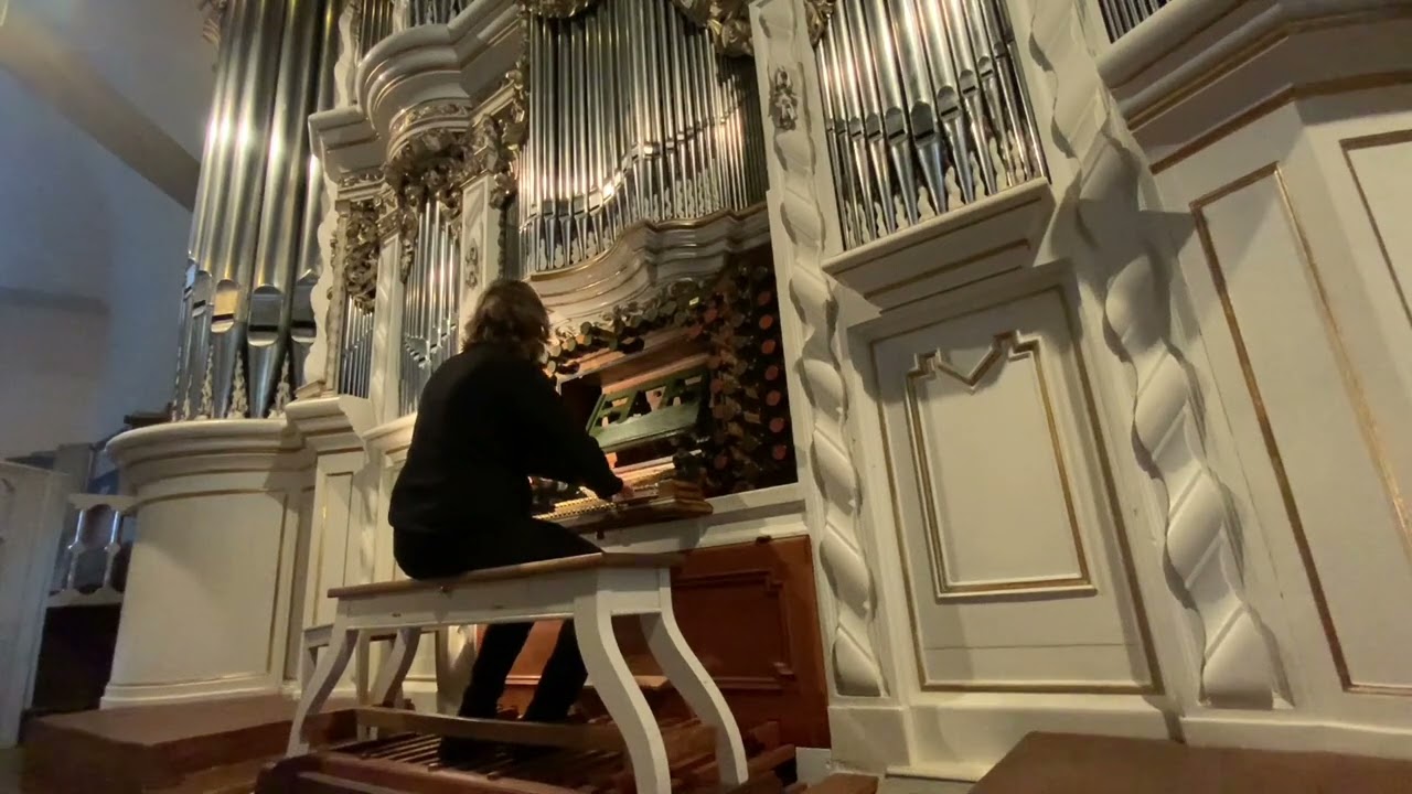 Martin Sturm - Improvisations - Trost Organ Waltershausen
