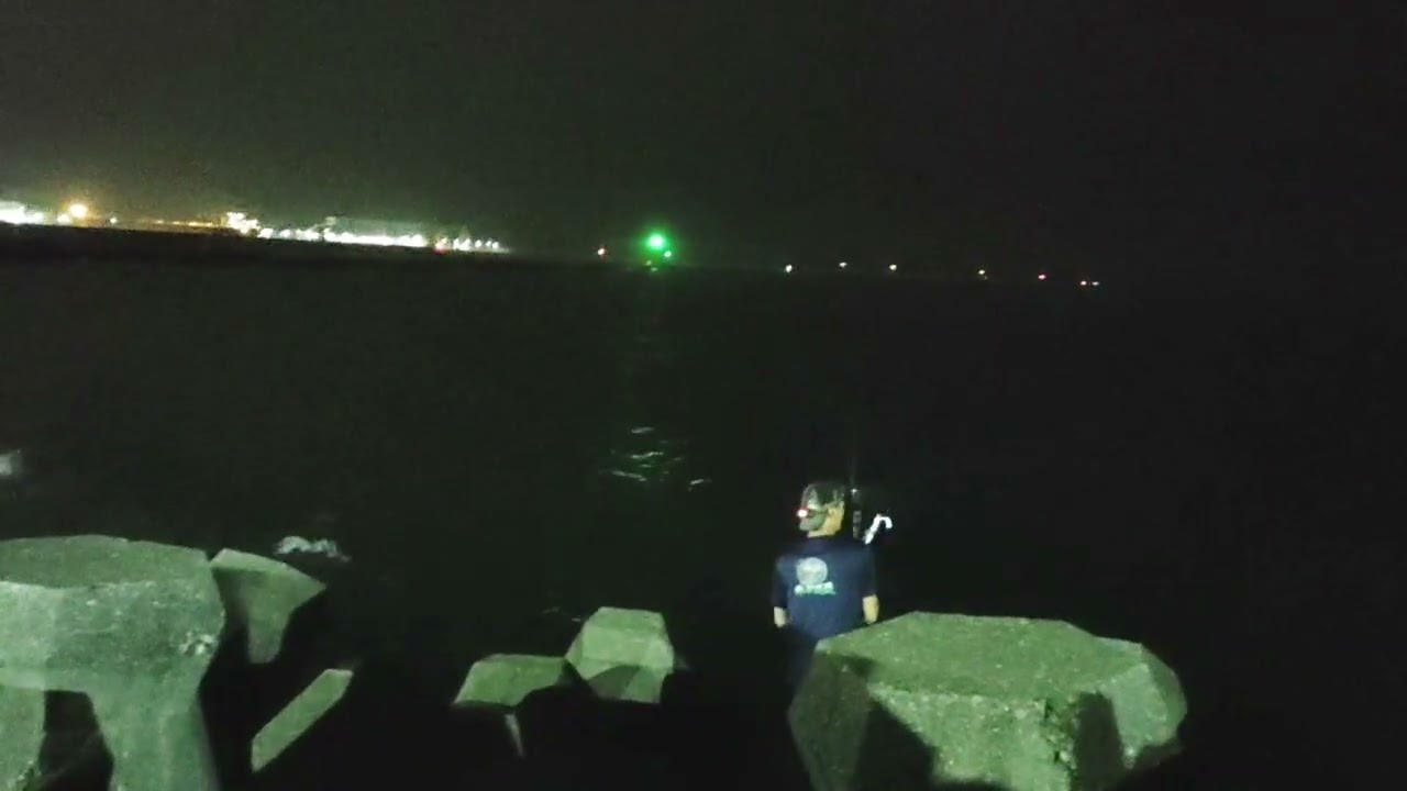 岸拋  起 竹梭