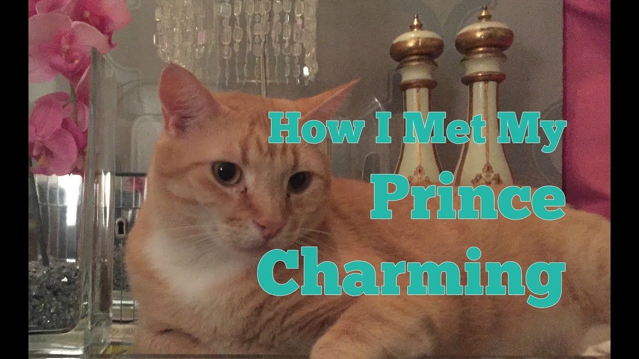 How I Met My Prince Charming