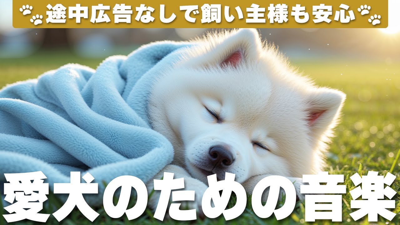 愛犬が落ち着く音楽 (12時間広告なし) 🐶 犬が好きな音楽 | 夜泣き防止 / vol.767