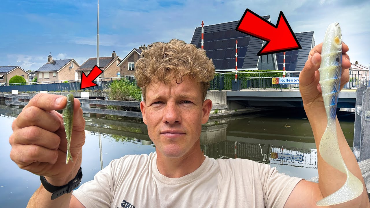 KUNSTAAS CHALLENGE IN DE STAD - VAN KLEINSTE NAAR GROOTSTE AASJE!😲
