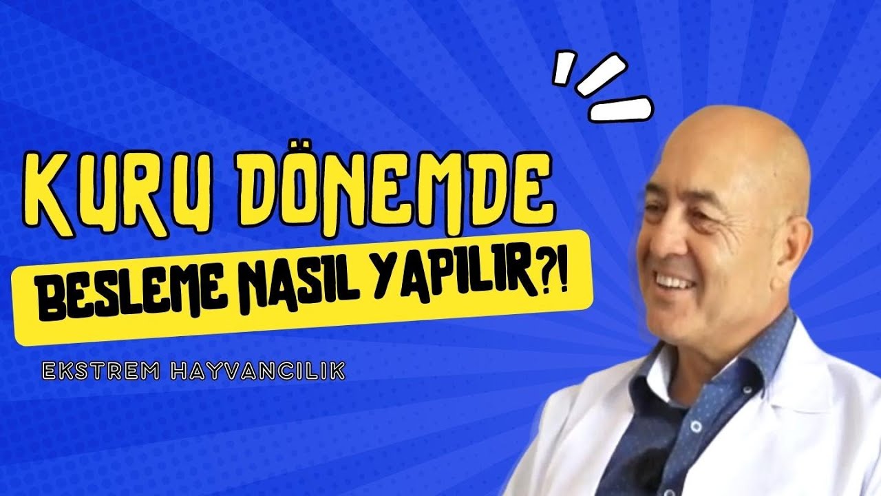 KURU DÖNEMDE BESLEME NASIL YAPILIR | EKSTREM HAYVANCILIK