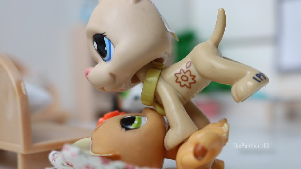 {Littlest Petshop} Les Kimchi en confinementt ! [Spin Off #3]