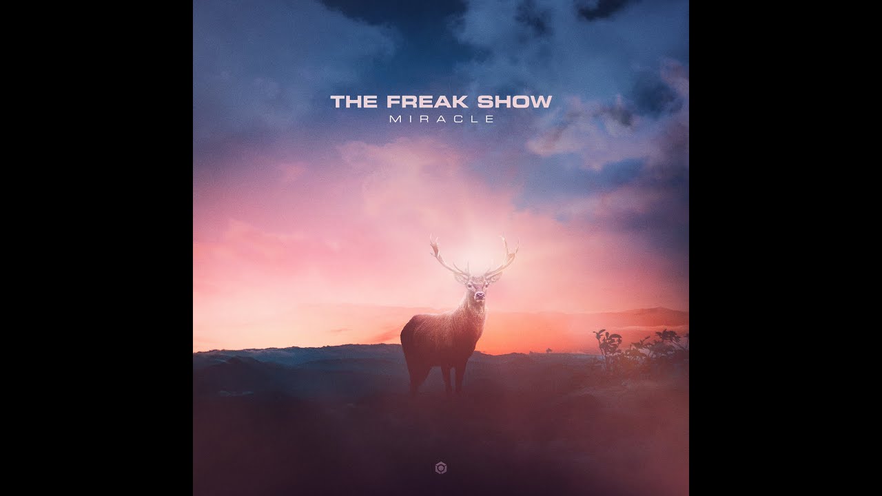The Freak Show - Violin - Official