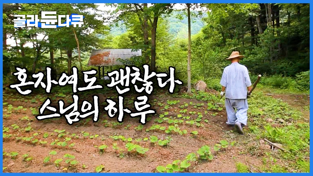 첩첩산중... 산골짜기의 암자를 지키는 스님의 하루를 따라가 보았다ㅣ어쩌면 운명이 아닐까? 혼자여도 괜찮은 스님의 여름ㅣ한국기행│#골라듄다큐