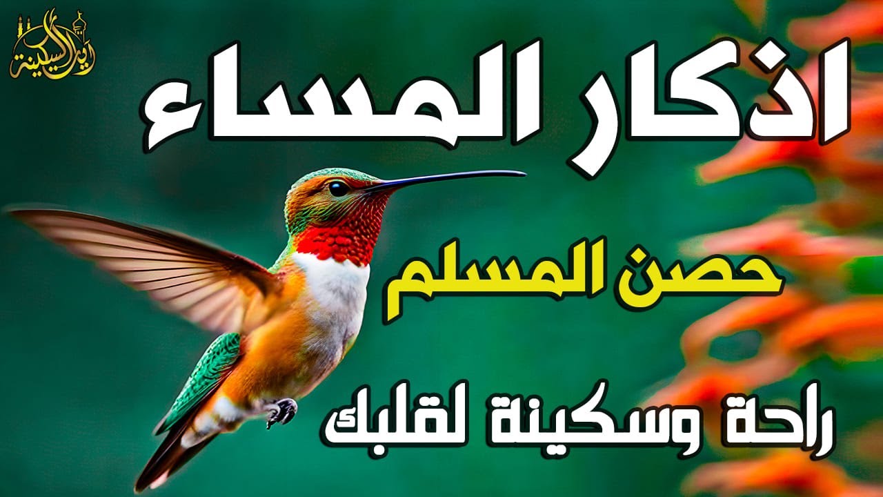 اذكار المساء راحة وسكينة لقلبك تحصن بيتك وأهلك Dzikir Malam Evening azkar By Alaa Aqel