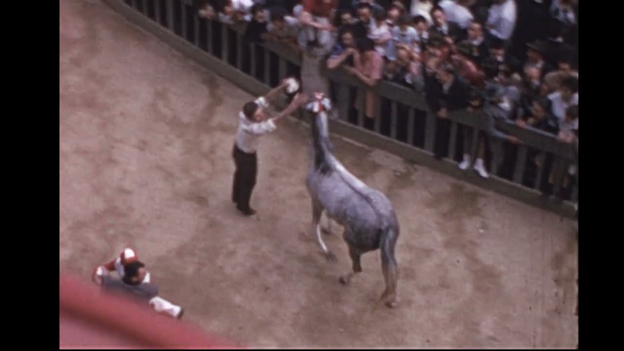 Le Palio de Siena, Horse race, Tuscany, Italy 1962