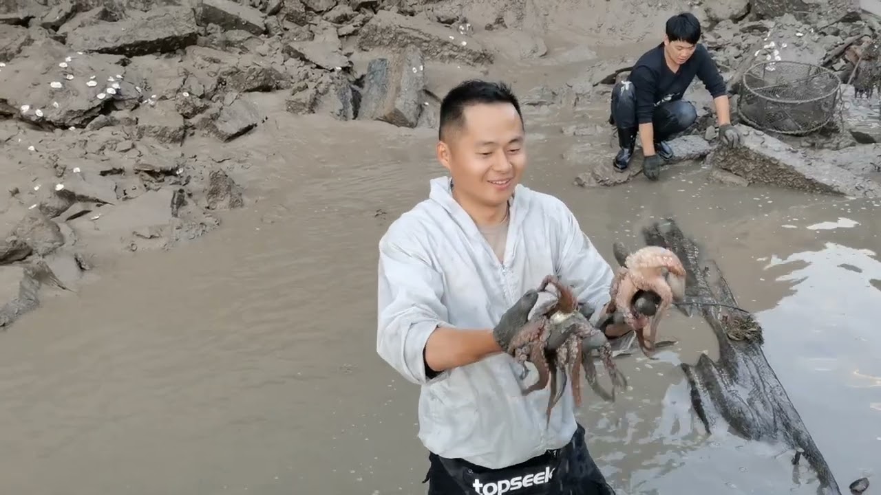 【阿向海钓赶海】4台重炮狂抽1000平水坑 各种海货聚集上演龙鲨争霸 引来村民哄抢