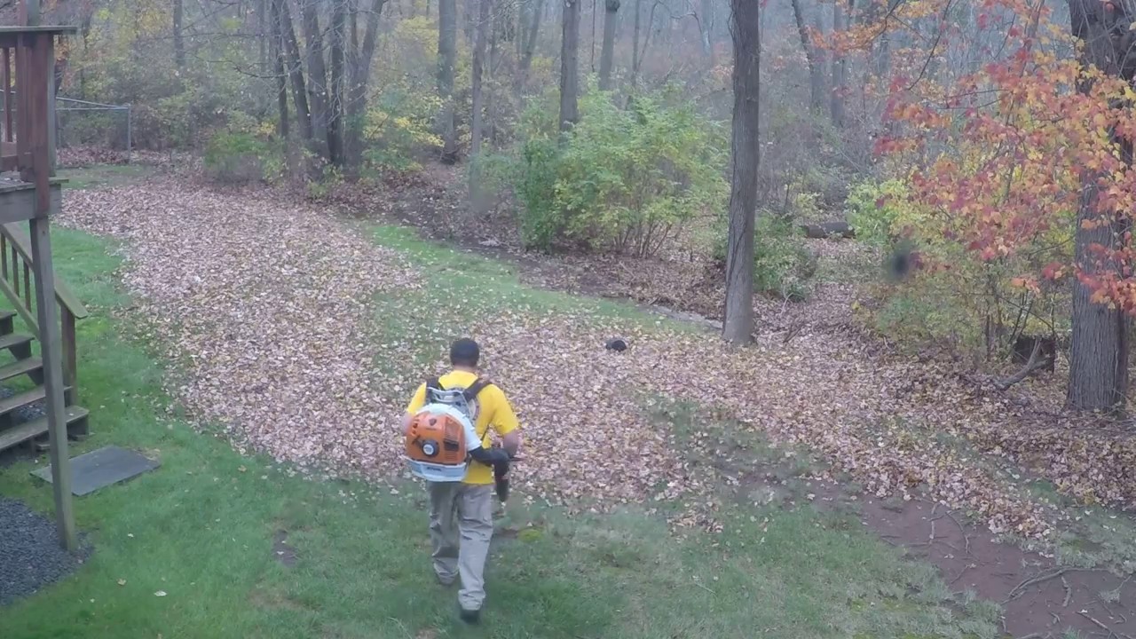 Stihl BR600 blowing leaves