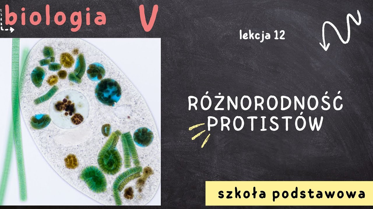Biologia klasa 5 [Lekcja 12 - R&oacute;żnorodność protist&oacute;w]